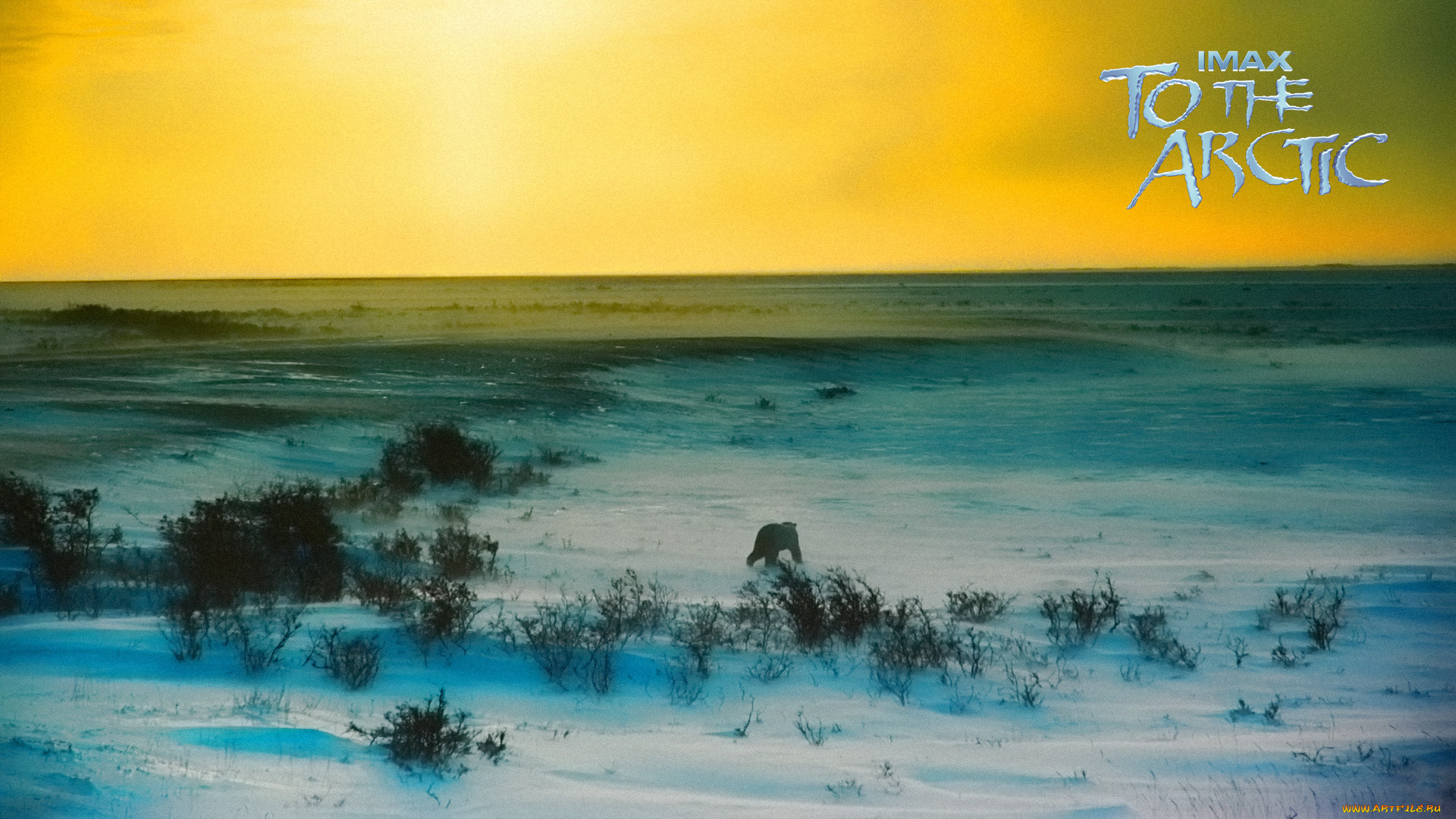 to, the, arctic, 3d, , , , , 